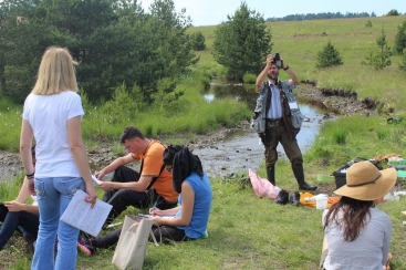 A Visual Stream Assessment in Serbia, July 2017