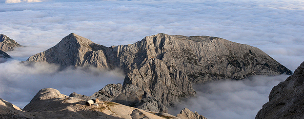 Decor image by IUCN / Tomasz Pezold