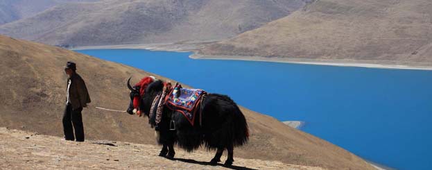 Decor image by Srdjan Marincic