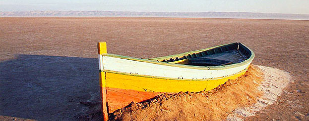 Decor image by Maja Vasilijevic