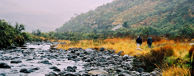 Decor image by Maja Vasilijevic