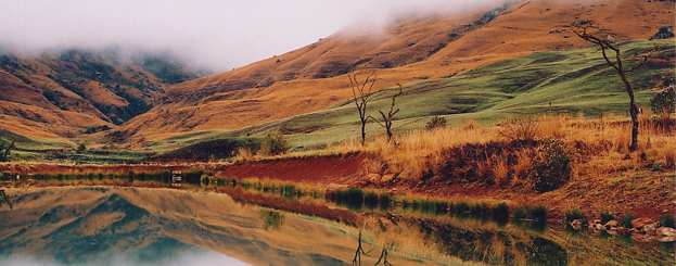 Decor image by Srdjan Marincic