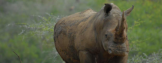 Decor image by Charles BesanÃ§on