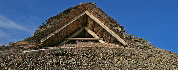 Decor image by Maja Vasilijevic