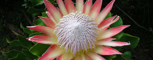 Decor image by Charles BesanÃ§on