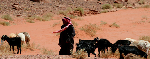 Decor image by Antonio Vasilijevic