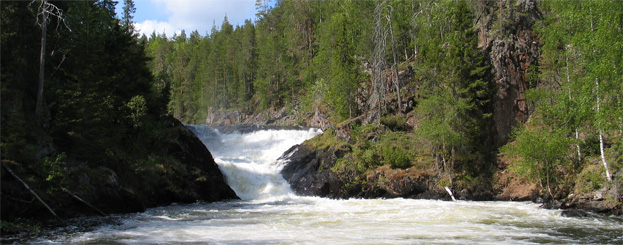 Decor image by Minna Koramo